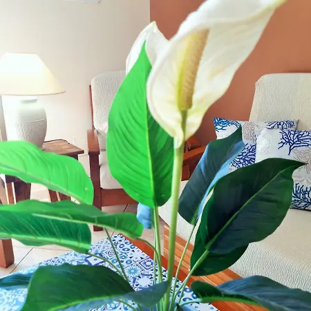 Sedna Apartment